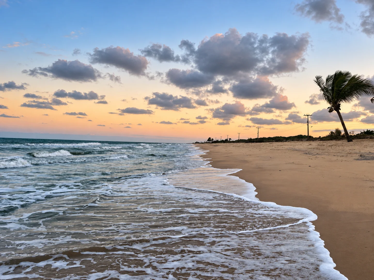 Ondas chegando à areia de Alcobaça ao entardecer